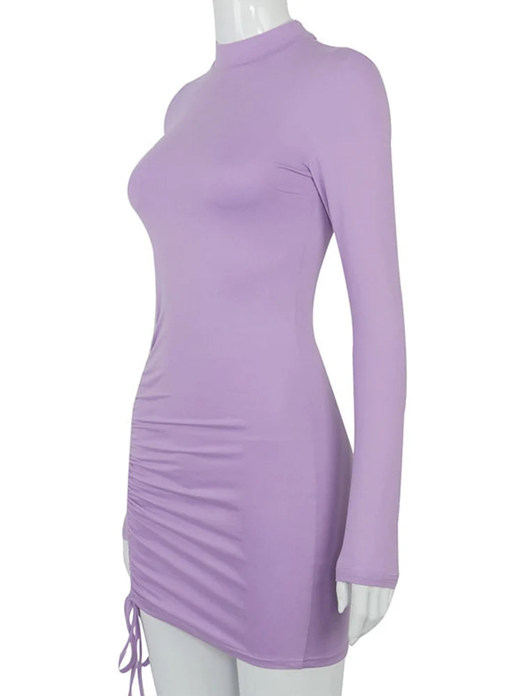 Long Sleeve Turtleneck  Mini Dress