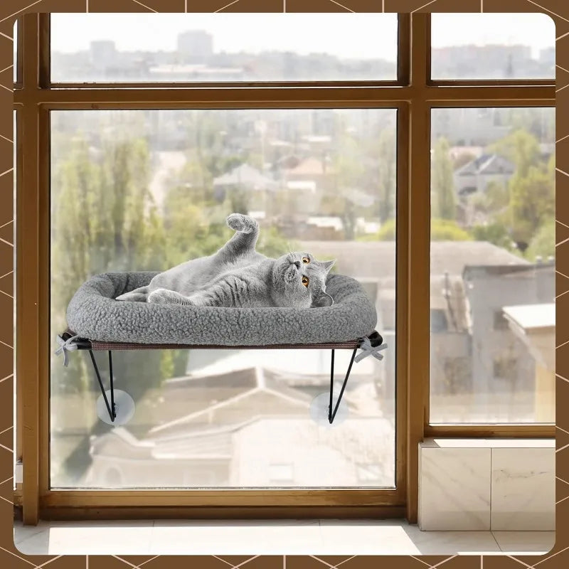 Cat Window Bed with Supported Under Metal