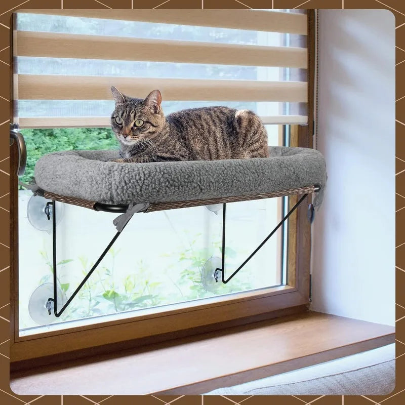 Cat Window Bed with Supported Under Metal