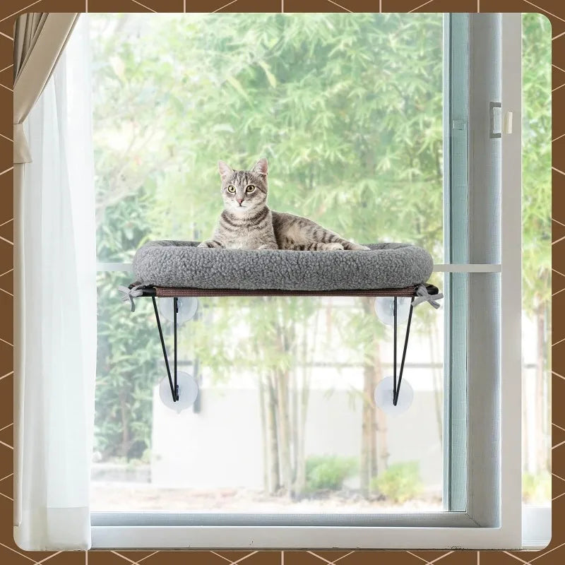 Cat Window Bed with Supported Under Metal