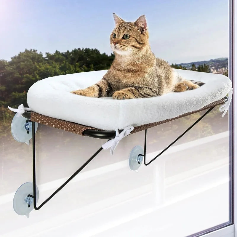 Cat Window Bed with Supported Under Metal