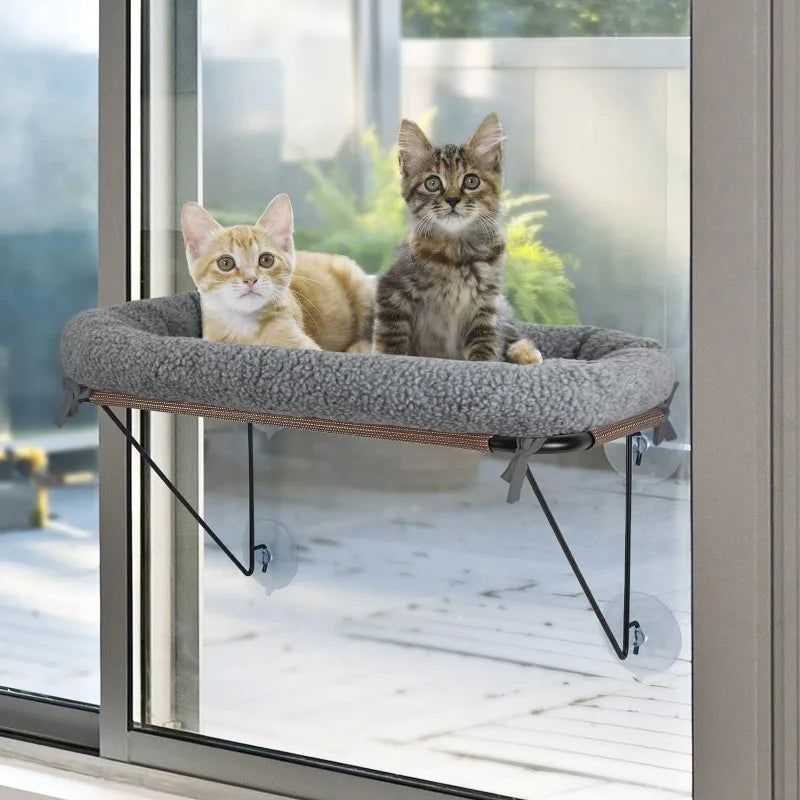 Cat Window Bed with Supported Under Metal